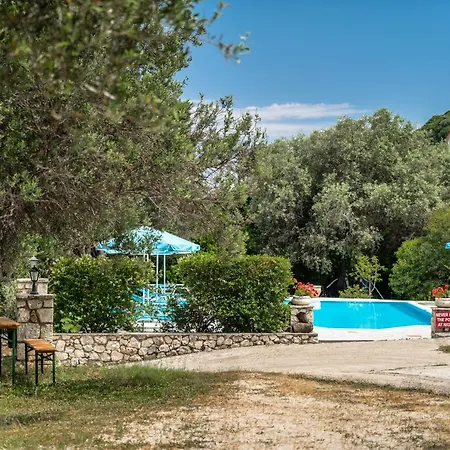 Anemona 1