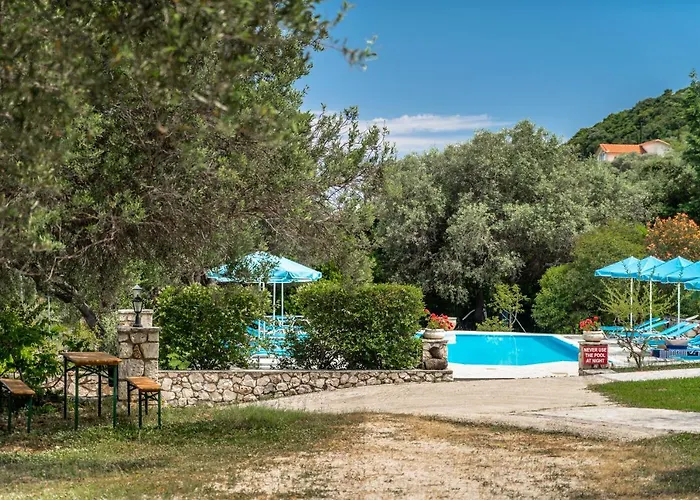 Anemona 1